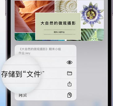 通辽apple维修中心分享iPhone文件应用中存储和找到下载文件