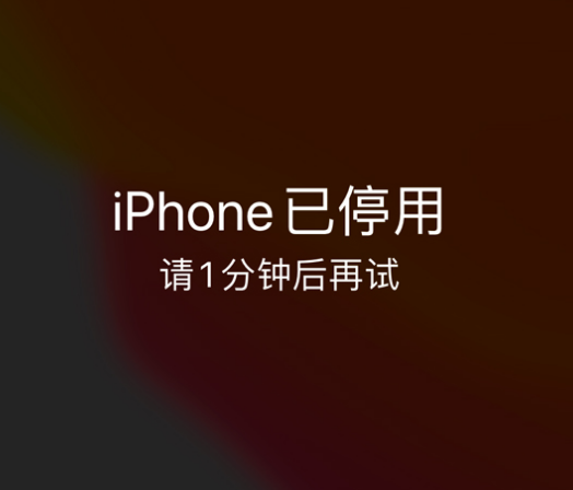 通辽苹果手机维修分享:iPhone 显示“不可用”或“已停用”怎么办？还能保留数据吗？ 