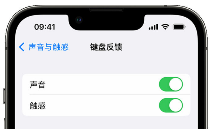 通辽苹果手机维修分享iPhone 14触感键盘使用方法 