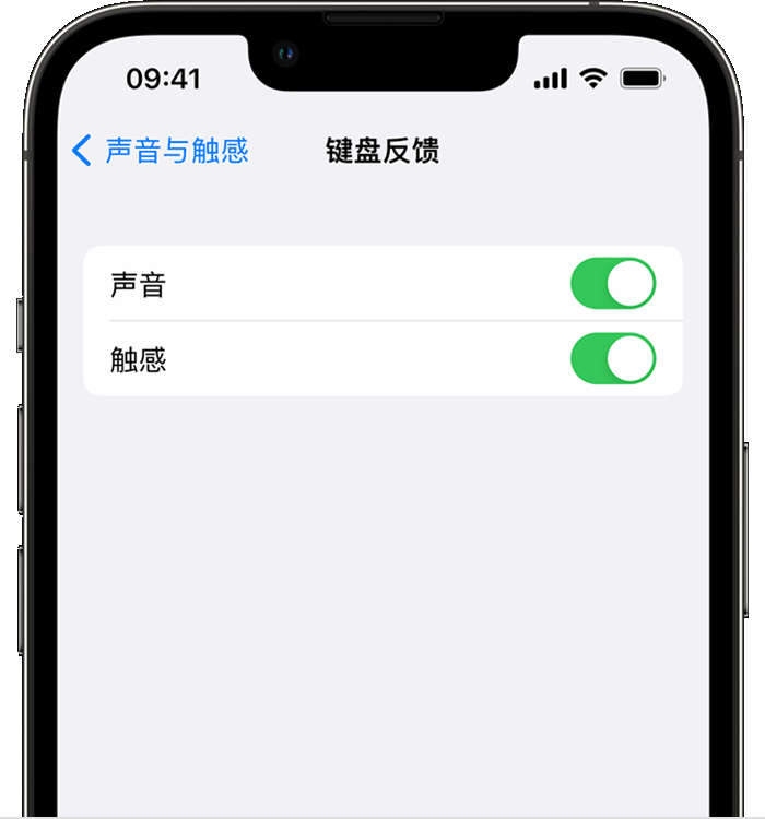 通辽苹果14维修店分享如何在 iPhone 14 机型中使用触感键盘 