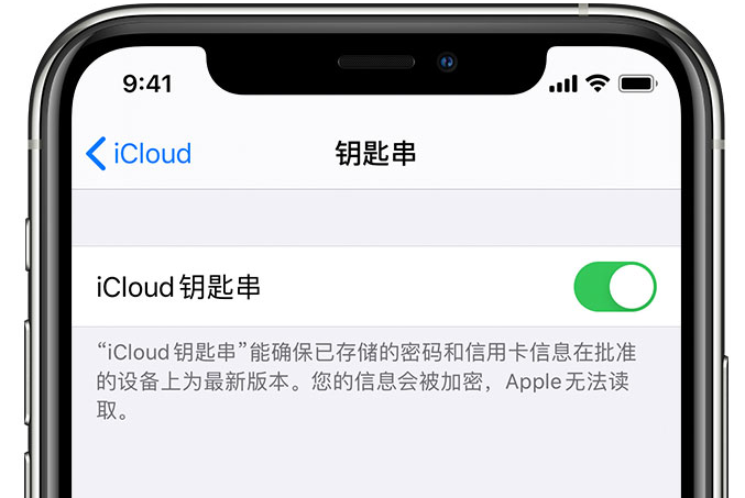 通辽苹果手机维修分享在 iPhone 上开启 iCloud 钥匙串之后会储存哪些信息 