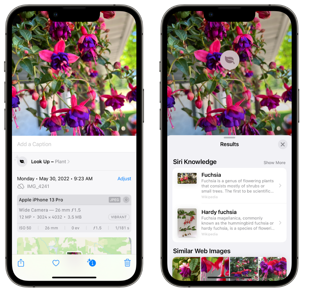 通辽苹果手机维修分享小技巧：使用 iPhone 相机识别花卉植物 