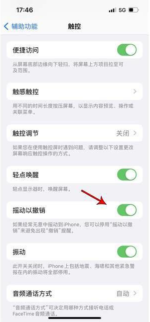通辽苹果手机维修分享iPhone手机如何设置摇一摇删除文字 
